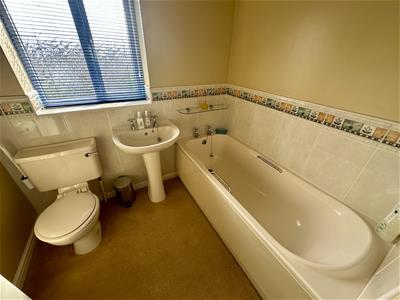 Picture 23